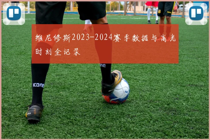 维尼修斯2023-2024赛季数据与高光时刻全记录