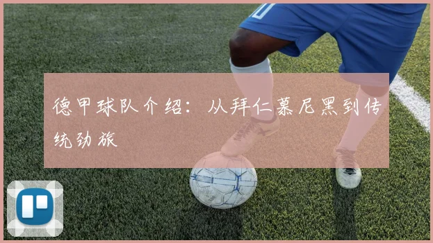 德甲球队介绍：从拜仁慕尼黑到传统劲旅